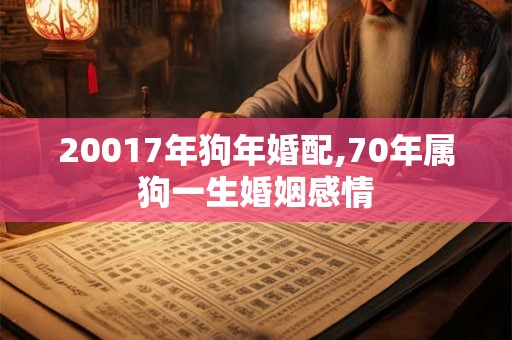 20017年狗年婚配,70年属狗一生婚姻感情 20017年狗年婚配,70年属狗一生婚姻感情