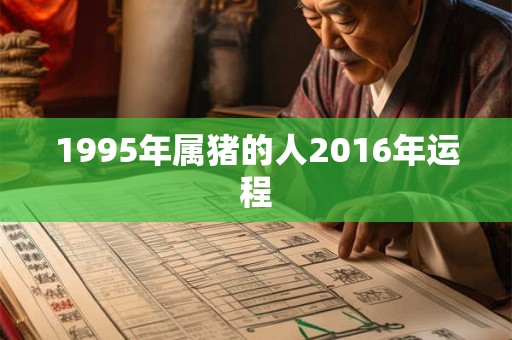 1995年属猪的人2016年运程 1995年属猪的人2016年运程