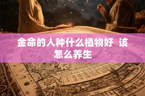 金命的人种什么植物好  该怎么养生