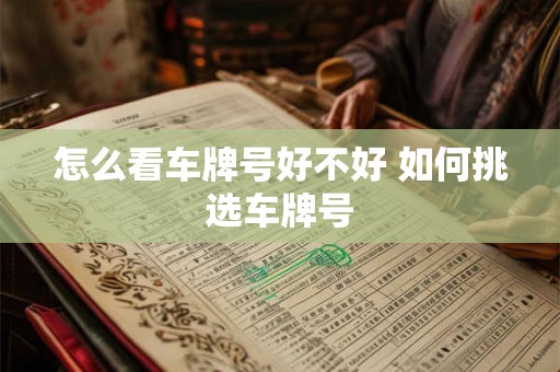 怎么看车牌号好不好 如何挑选车牌号