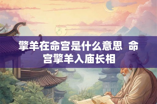 擎羊在命宫是什么意思  命宫擎羊入庙长相