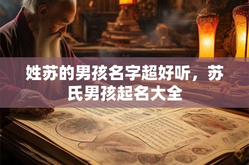 姓苏的男孩名字超好听，苏氏男孩起名大全
