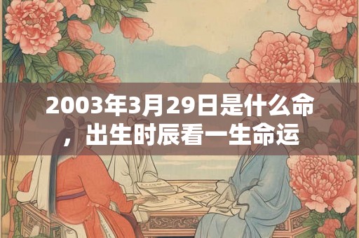 2003年3月29日是什么命，出生时辰看一生命运