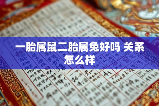 一胎属鼠二胎属兔好吗 关系怎么样