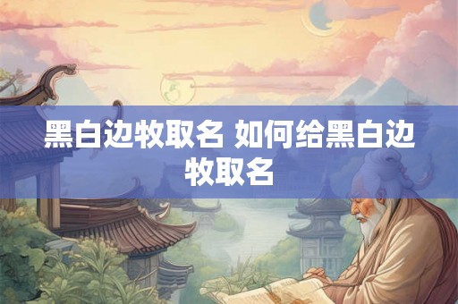 黑白边牧取名 如何给黑白边牧取名