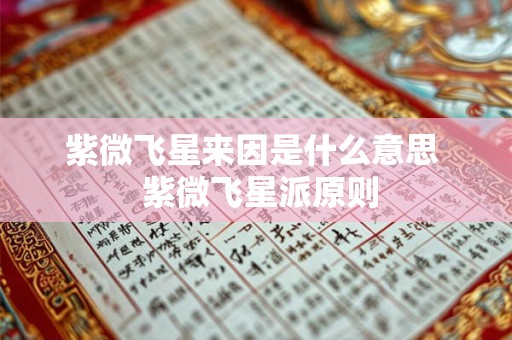 紫微飞星来因是什么意思  紫微飞星派原则