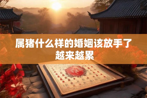 属猪什么样的婚姻该放手了 越来越累