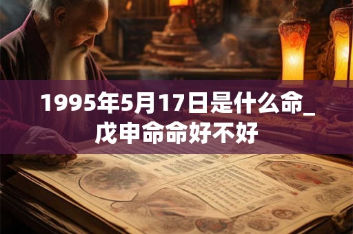 1995年5月17日是什么命_戊申命命好不好