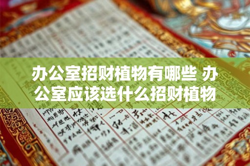 办公室招财植物有哪些 办公室应该选什么招财植物