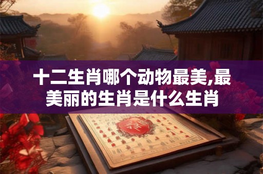 十二生肖哪个动物最美,最美丽的生肖是什么生肖