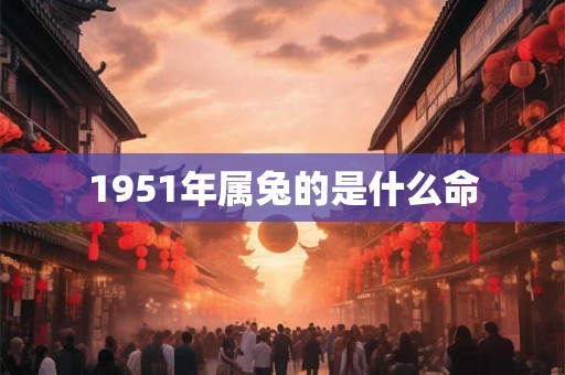 1951年属兔的是什么命