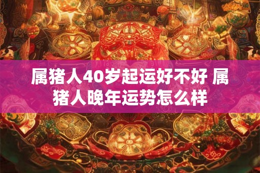 属猪人40岁起运好不好 属猪人晚年运势怎么样
