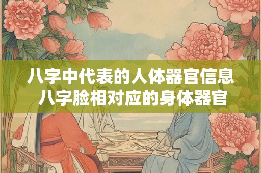 八字中代表的人体器官信息 八字脸相对应的身体器官 八字中代表的人体器官信息 八字脸相对应的身体器官