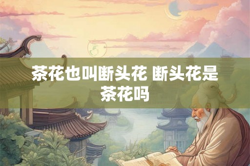 茶花也叫断头花 断头花是茶花吗