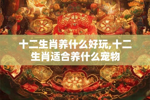 十二生肖养什么好玩,十二生肖适合养什么宠物