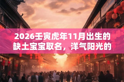 2026壬寅虎年11月出生的缺土宝宝取名，洋气阳光的名字