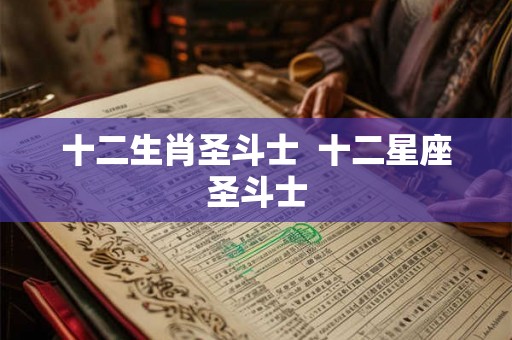 十二生肖圣斗士  十二星座圣斗士