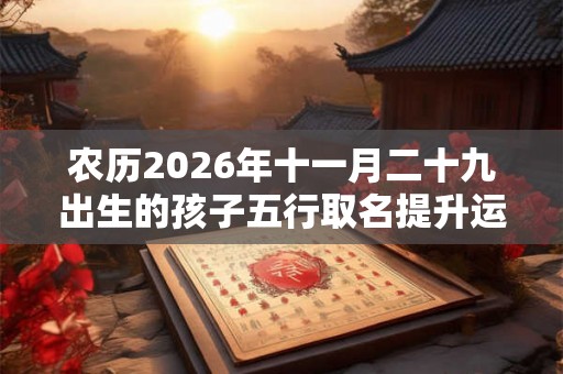 农历2026年十一月二十九出生的孩子五行取名提升运势运程