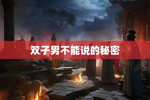 双子男不能说的秘密