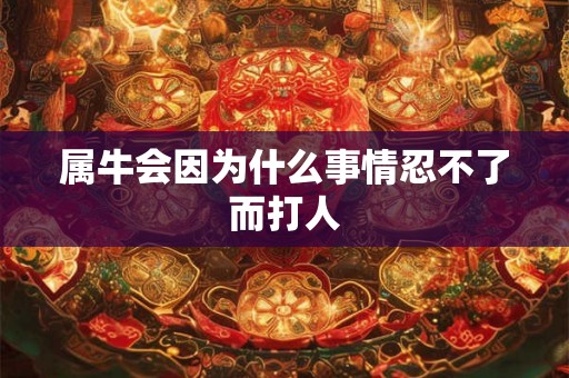 属牛会因为什么事情忍不了而打人