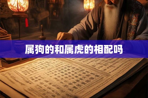 属狗的和属虎的相配吗