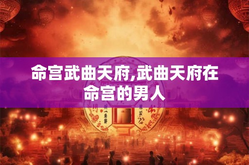命宫武曲天府,武曲天府在命宫的男人