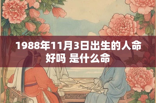 1988年11月3日出生的人命好吗 是什么命