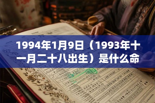 1994年1月9日（1993年十一月二十八出生）是什么命_命运如何