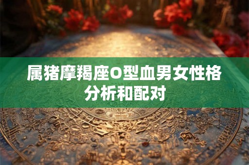 属猪摩羯座O型血男女性格分析和配对