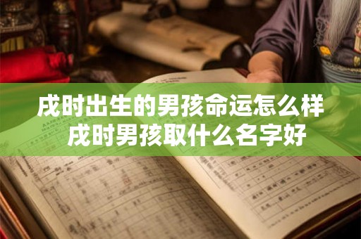 戌时出生的男孩命运怎么样  戌时男孩取什么名字好