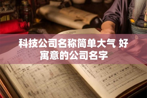 科技公司名称简单大气 好寓意的公司名字