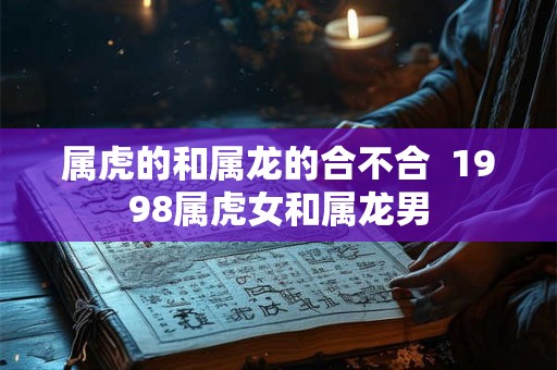 属虎的和属龙的合不合  1998属虎女和属龙男
