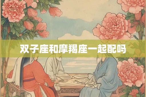 双子座和摩羯座一起配吗