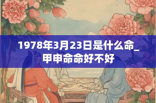 1978年3月23日是什么命_甲申命命好不好