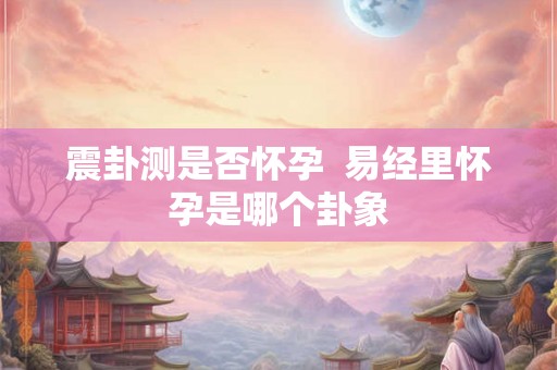 震卦测是否怀孕  易经里怀孕是哪个卦象
