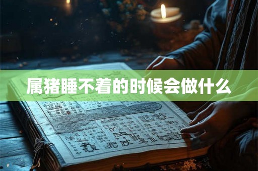 属猪睡不着的时候会做什么 属猪睡不着的时候会做什么