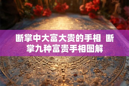 断掌中大富大贵的手相  断掌九种富贵手相图解