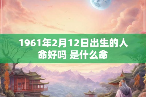 1961年2月12日出生的人命好吗 是什么命