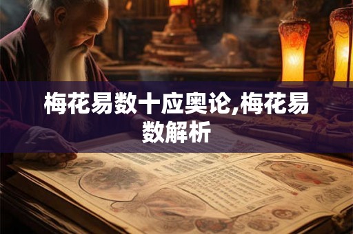梅花易数十应奥论,梅花易数解析