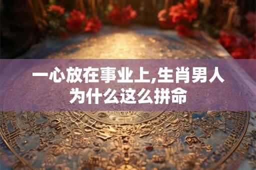 一心放在事业上,生肖男人为什么这么拼命
