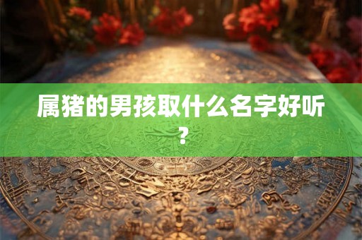 属猪的男孩取什么名字好听? 属猪的男孩取什么名字好听?