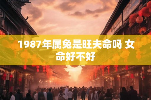 1987年属兔是旺夫命吗 女命好不好