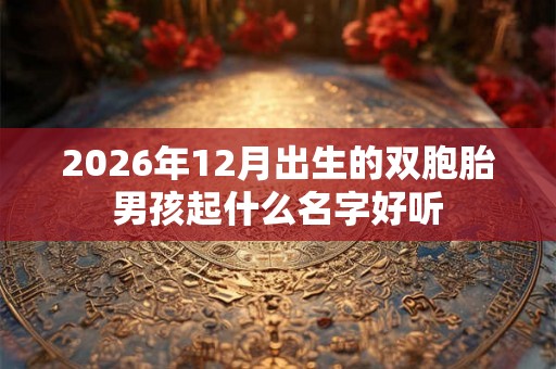 2026年12月出生的双胞胎男孩起什么名字好听