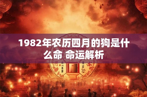 1982年农历四月的狗是什么命 命运解析