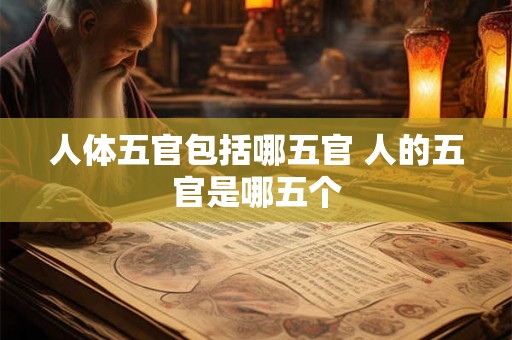 人体五官包括哪五官 人的五官是哪五个