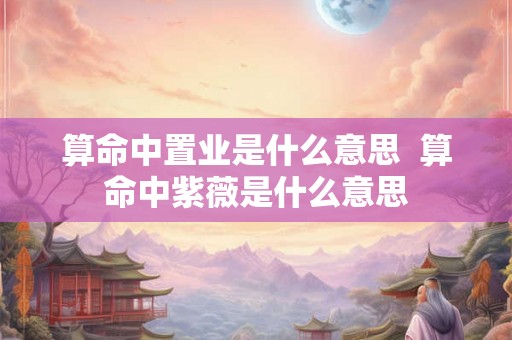算命中置业是什么意思 算命中紫薇是什么意思 算命中置业是什么意思 算命中紫薇是什么意思