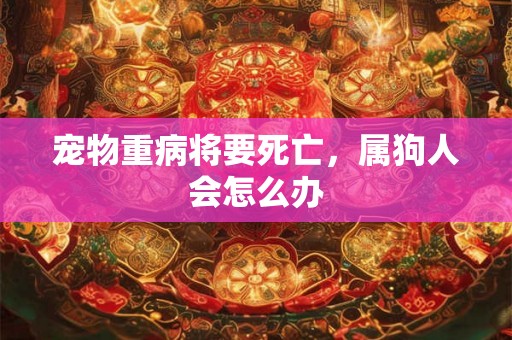 宠物重病将要死亡,属狗人会怎么办 宠物重病将要死亡,属狗人会怎么办