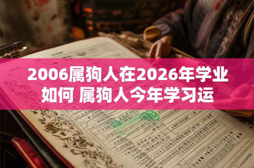 2006属狗人在2026年学业如何 属狗人今年学习运