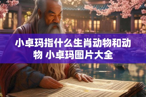 小卓玛指什么生肖动物和动物 小卓玛图片大全