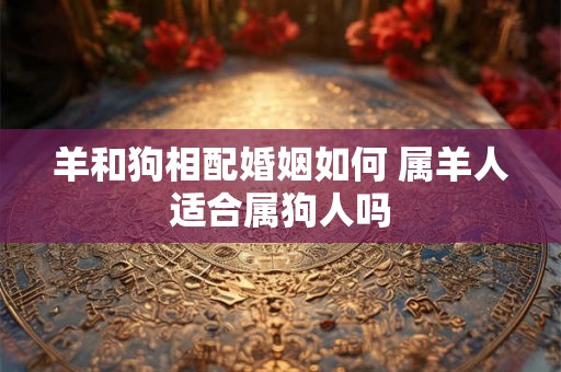 羊和狗相配婚姻如何 属羊人适合属狗人吗